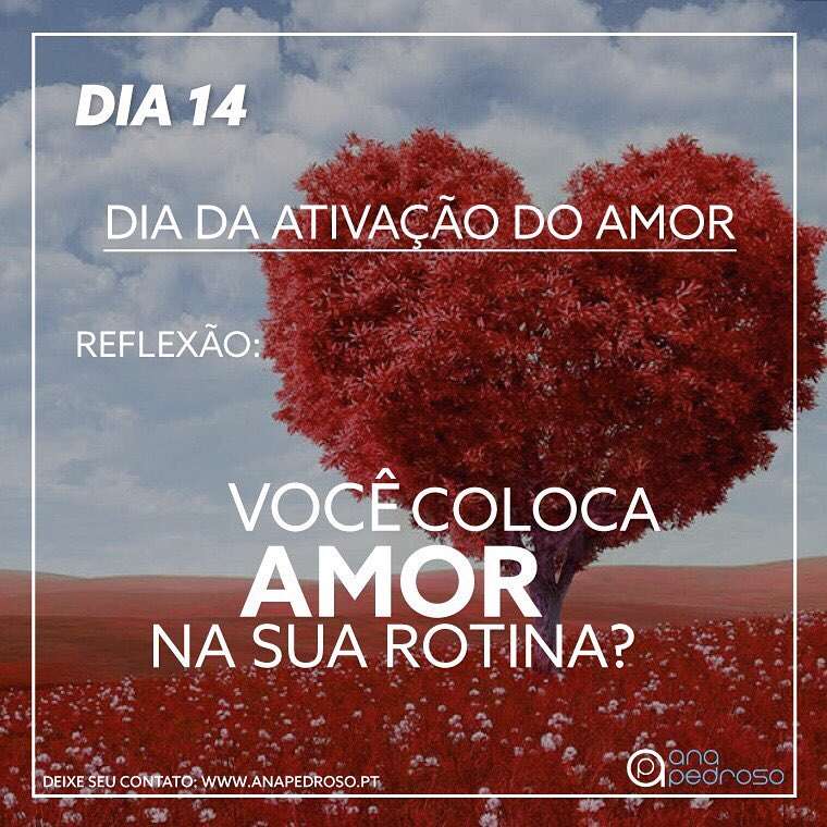 Ana Pedroso-Programa 27 dias #12 | 2