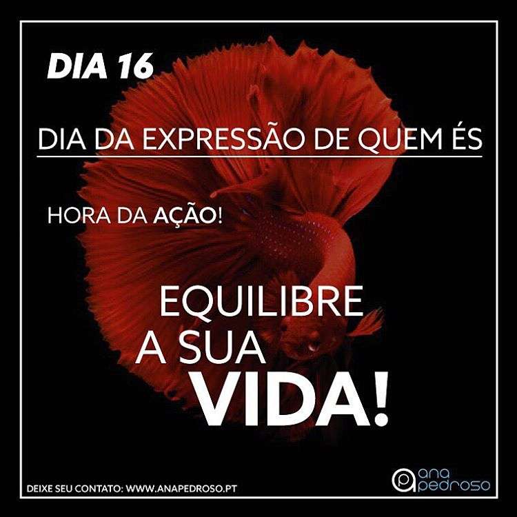 #16 Dia | DIA DA EXPRESSÃO DE QUEM ÉS!