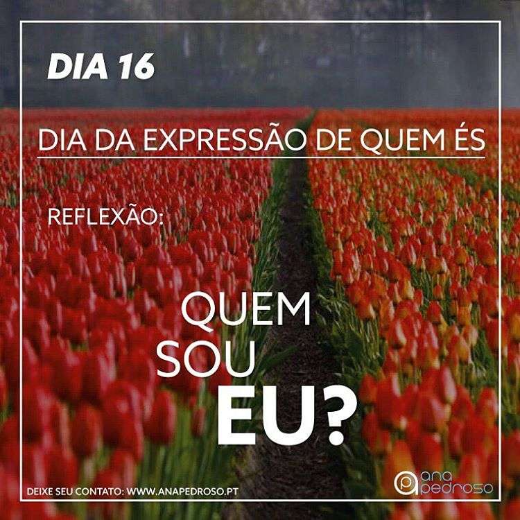 Ana Pedroso-Programa 27 dias #15 | 4