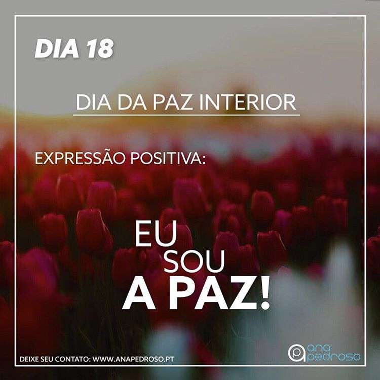 Ana Pedroso-Programa 27 dias #18 1