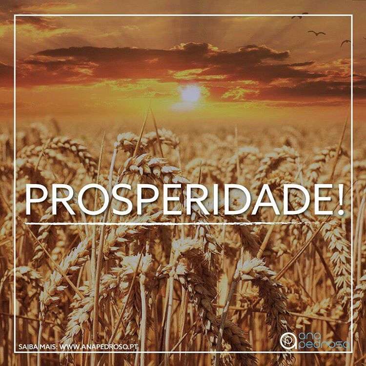 “LEADER MEDITA 1.0” | #12 Programa de 12 Dias