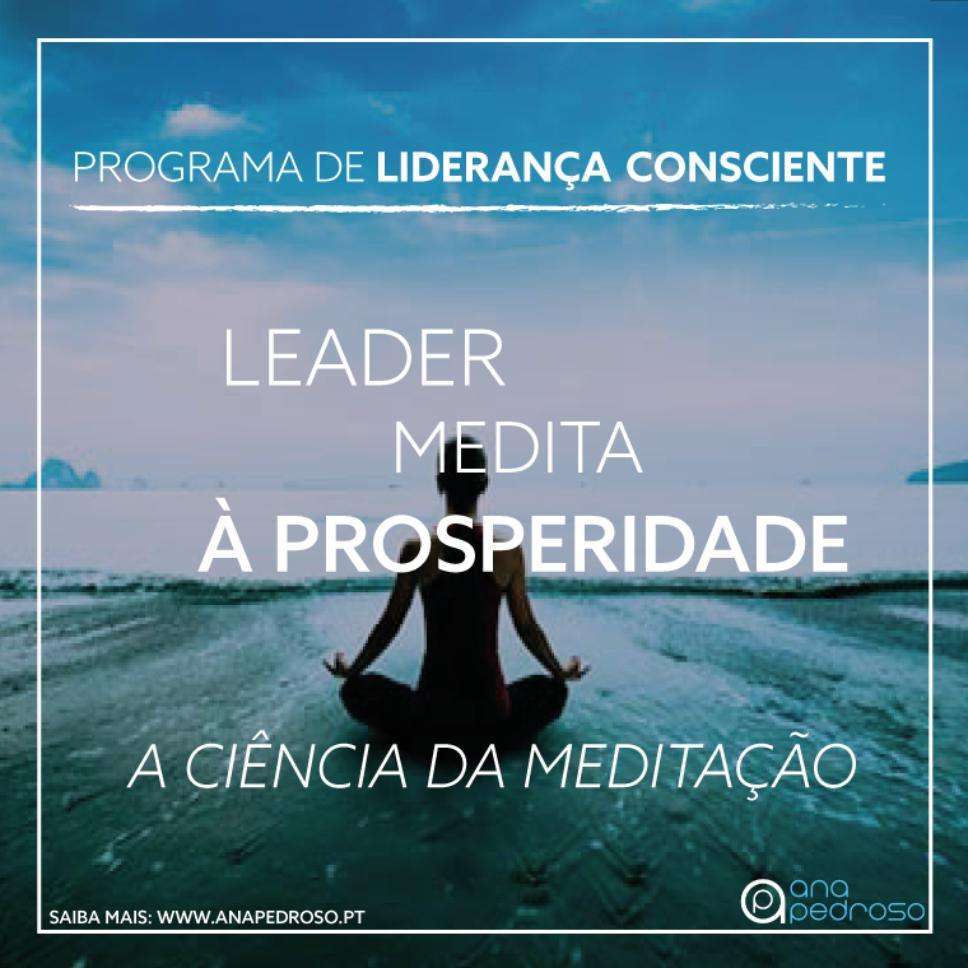 Leader Medita - Curso Ana Pedroso dia 6 -2