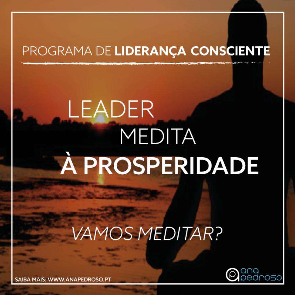 Leader Medita - Curso Ana Pedroso dia 6 -3