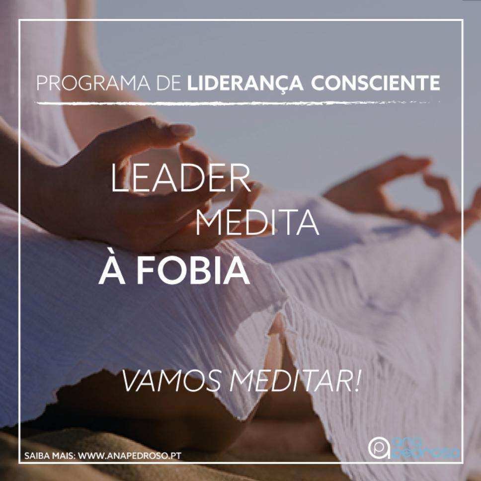 Leader Medita - Curso Ana Pedroso dia 7 -3