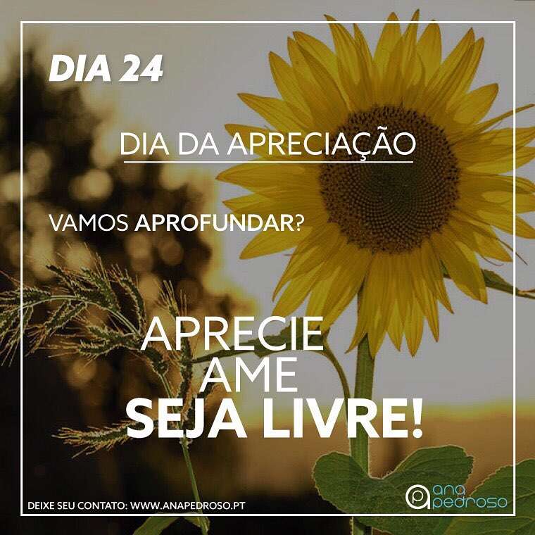 Ana Pedroso-Programa 27 dias #24 | 4