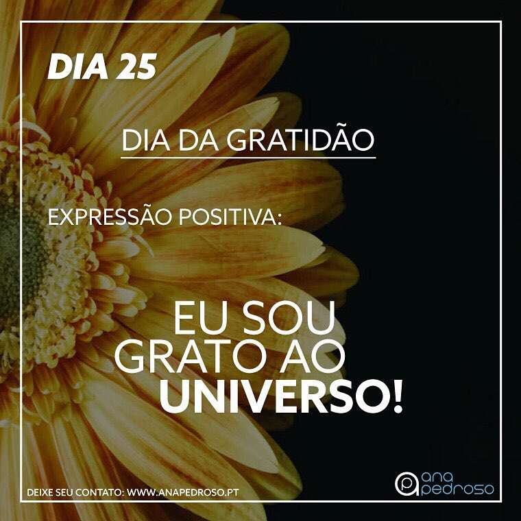 #25 Dia | DIA DA GRATIDÃO!