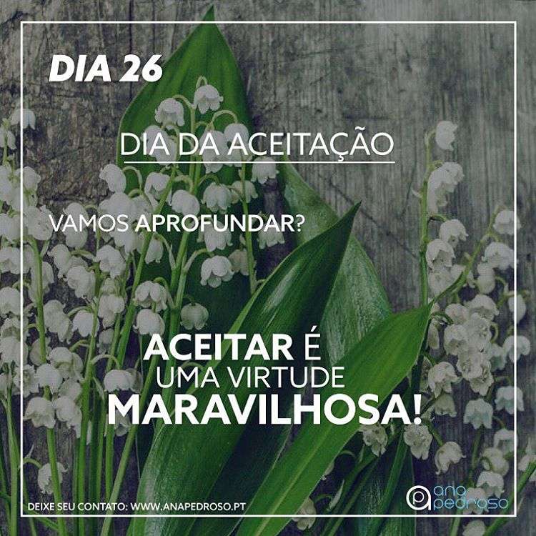 Ana Pedroso-Programa 27 dias #26 | 4